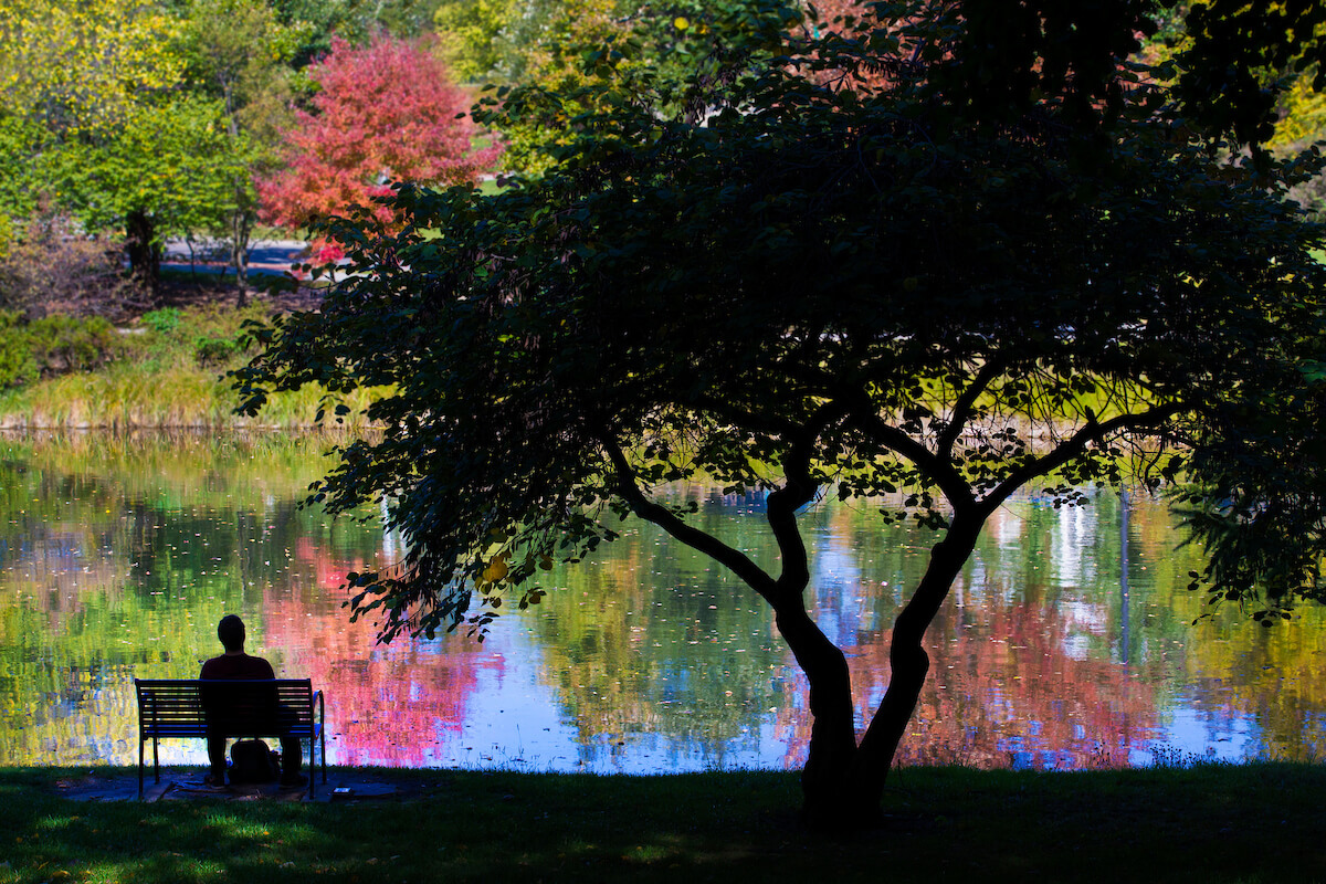 A person sitting on a bench looks at blossoming trees as they reflect on the surface of Lake Laverne.