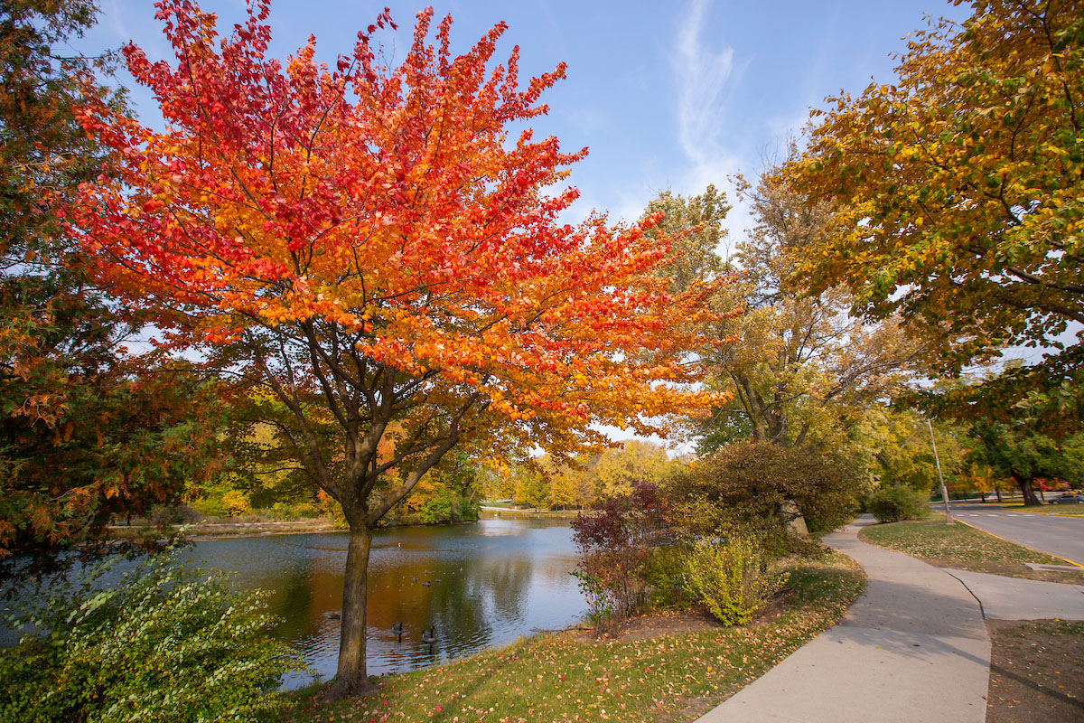 A path next to Lake Laverne surrounded by Fall trees.