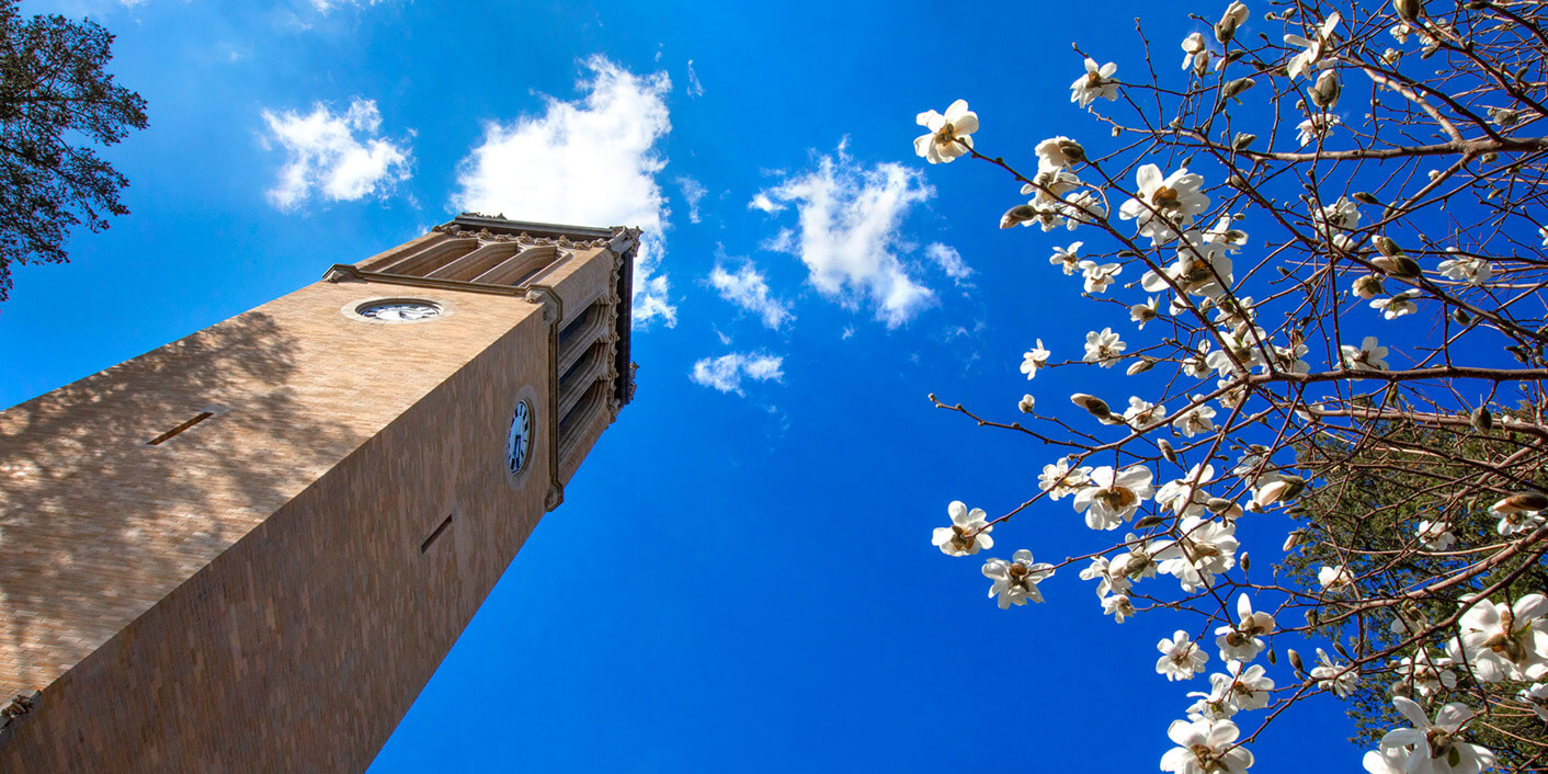 Campanile with a blue sky and flowers.